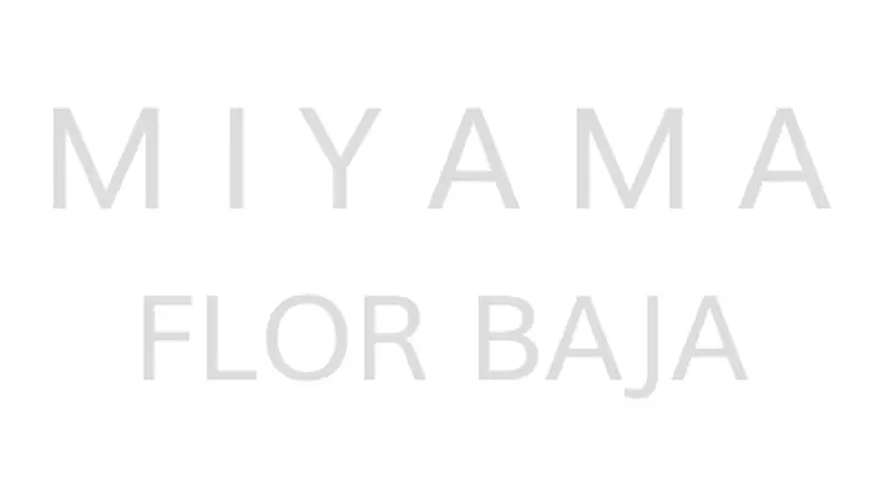 Miyama Flor Baja